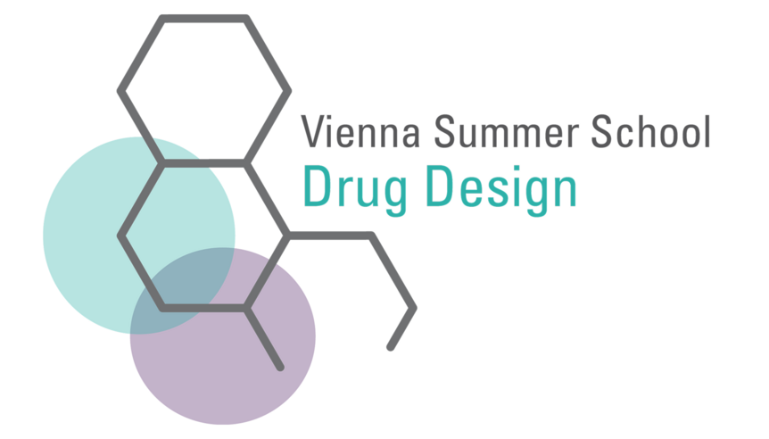 Logo of the Summer School - an organic chemistry molecule