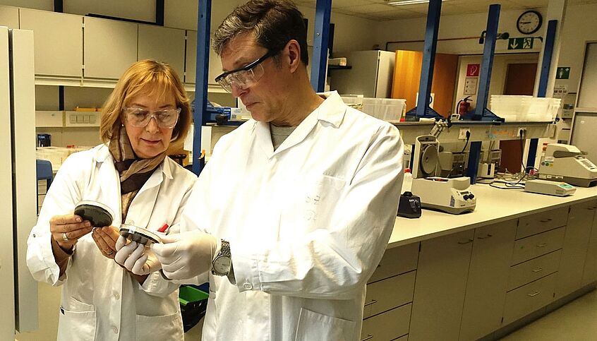 Photo: Olga Sekurova and Sergey Zotchev in their Vienna lab. The researchers managed to crack a mechanism that steps up the metabolism of bacteria and, thus, their production of antibiotics. Source: University of Vienna